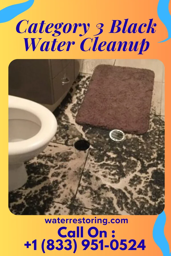 Category 3 Black Water Cleanup in Cohasset, CA